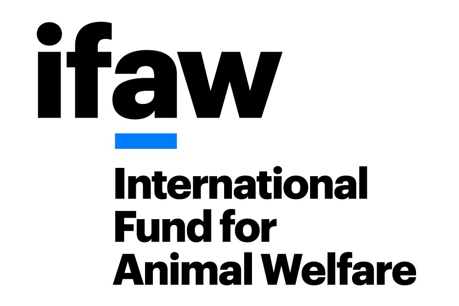 IFAW – Événement Océan Nice 2025 avec Silent Disco France